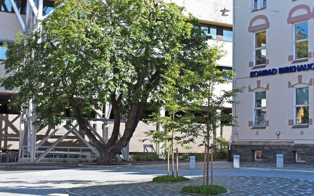 Sengebygg sør, Haukeland