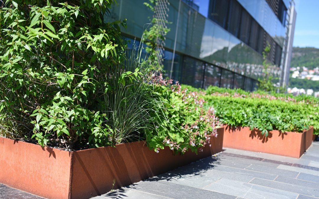 Anleggsgartnerbransjen i front for grønn omstilling