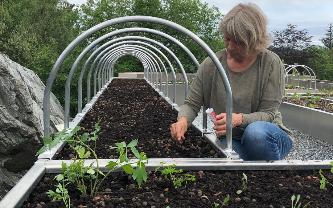 Vi satser på mattak