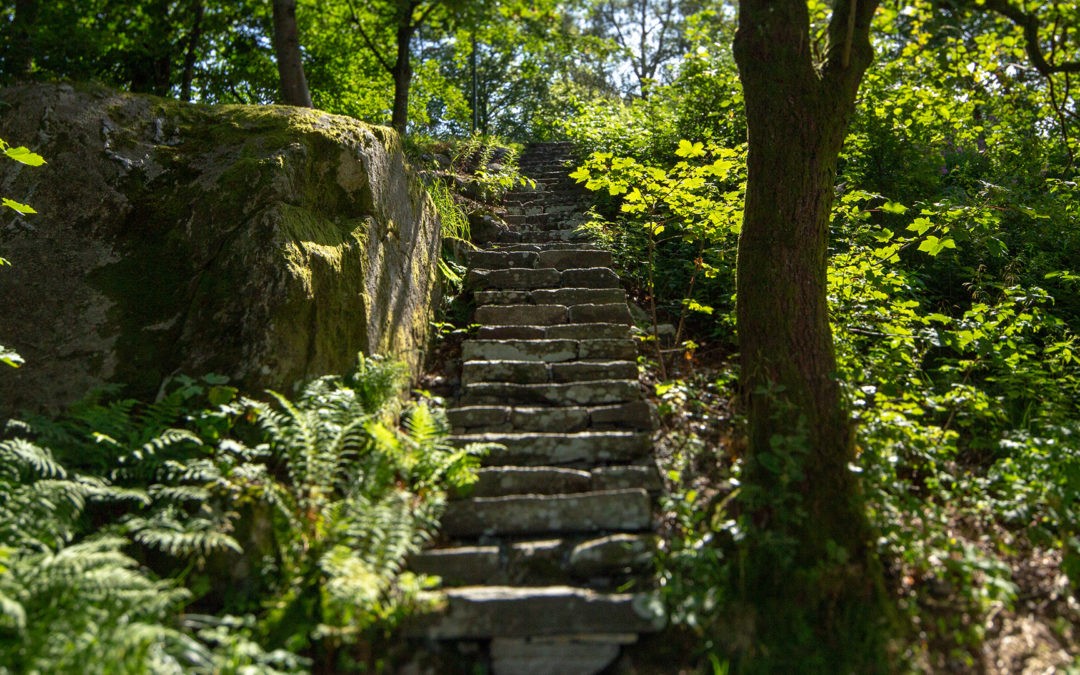 Leaparken – En perle på Minde