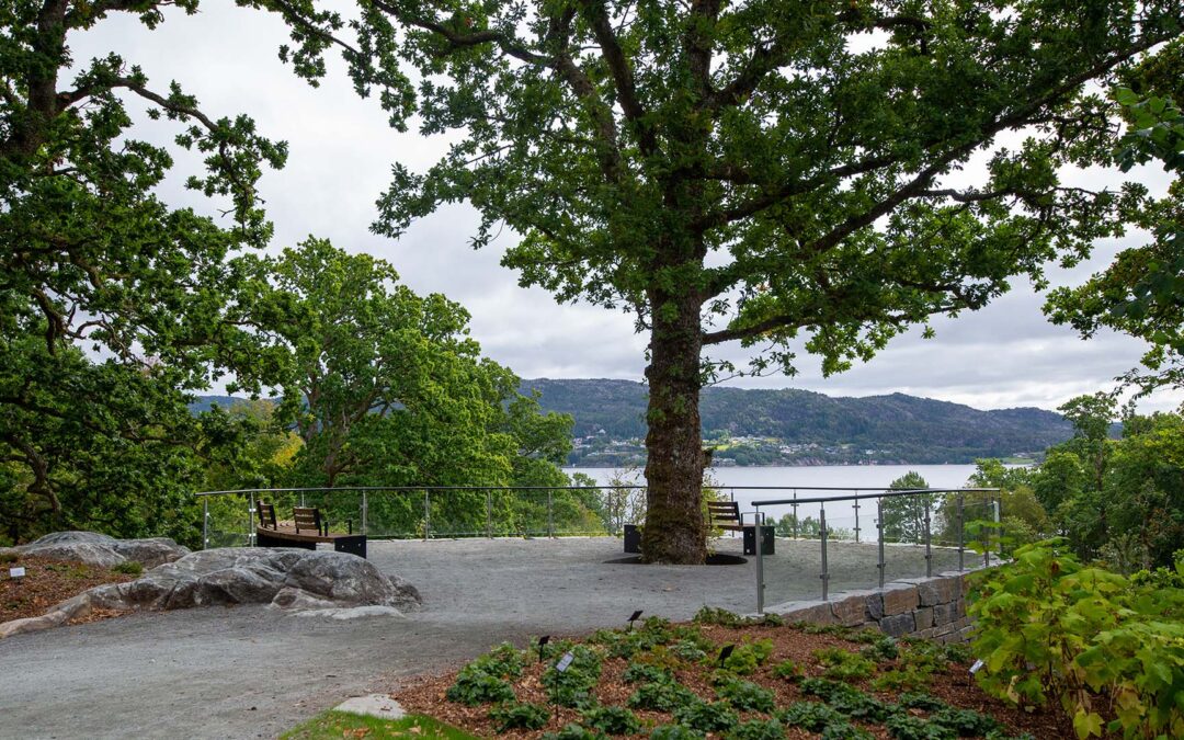 Utsiktspunkt Arboretet