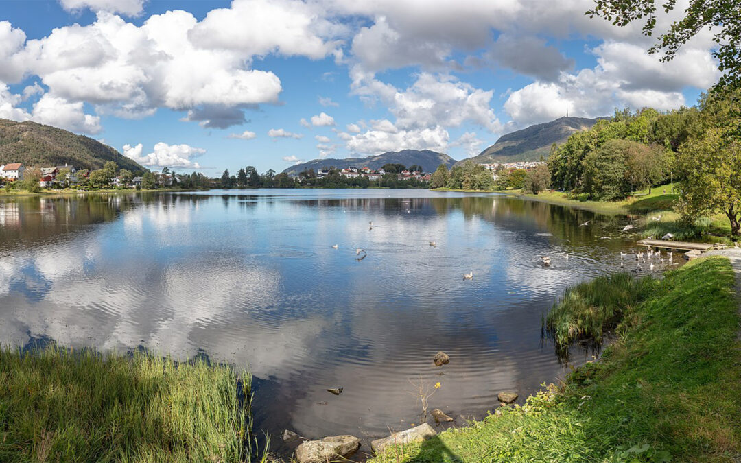 Boasson AS vant bydel Årstad